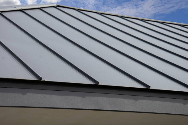 Best Roof Moss and Algae Removal  in Twentynine Palms, CA